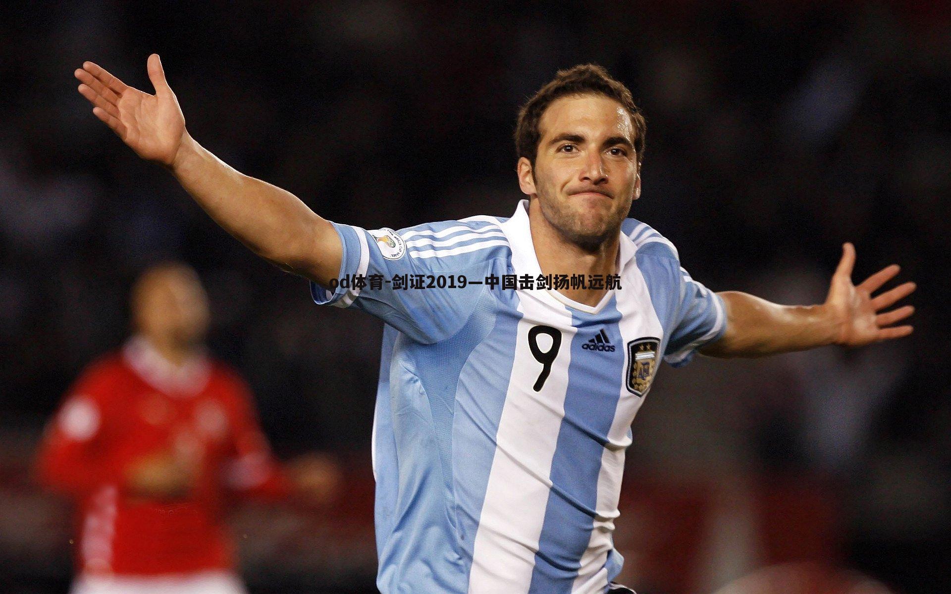 剑证2019—中国击剑扬帆远航